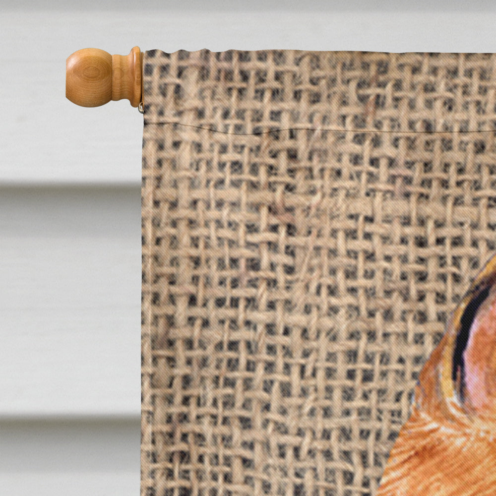 Brussels Griffon on Faux Burlap with Pine Cones House Flag 28x40 Porch Sleeve Pole Decorative Outside Yard Banner Artwork Wall Hanging, Polyester