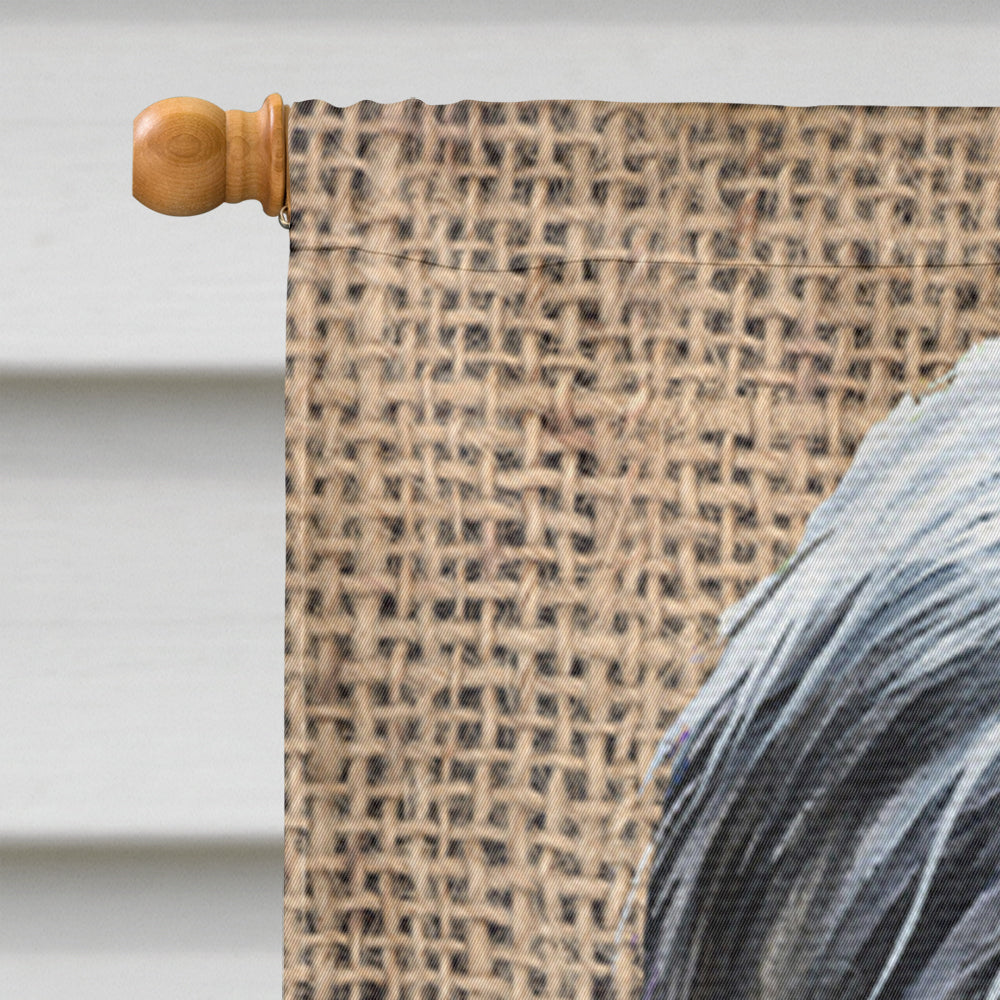 Bearded Collie on Faux Burlap with Pine Cones House Flag 28x40 Porch Sleeve Pole Decorative Outside Yard Banner Artwork Wall Hanging, Polyester