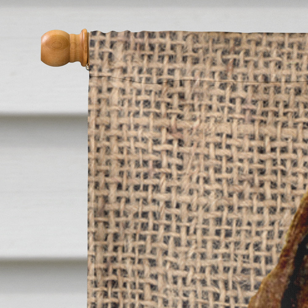 Springer Spaniel on Faux Burlap with Pine Cones House Flag 28x40 Porch Sleeve Pole Decorative Outside Yard Banner Artwork Wall Hanging, Polyester