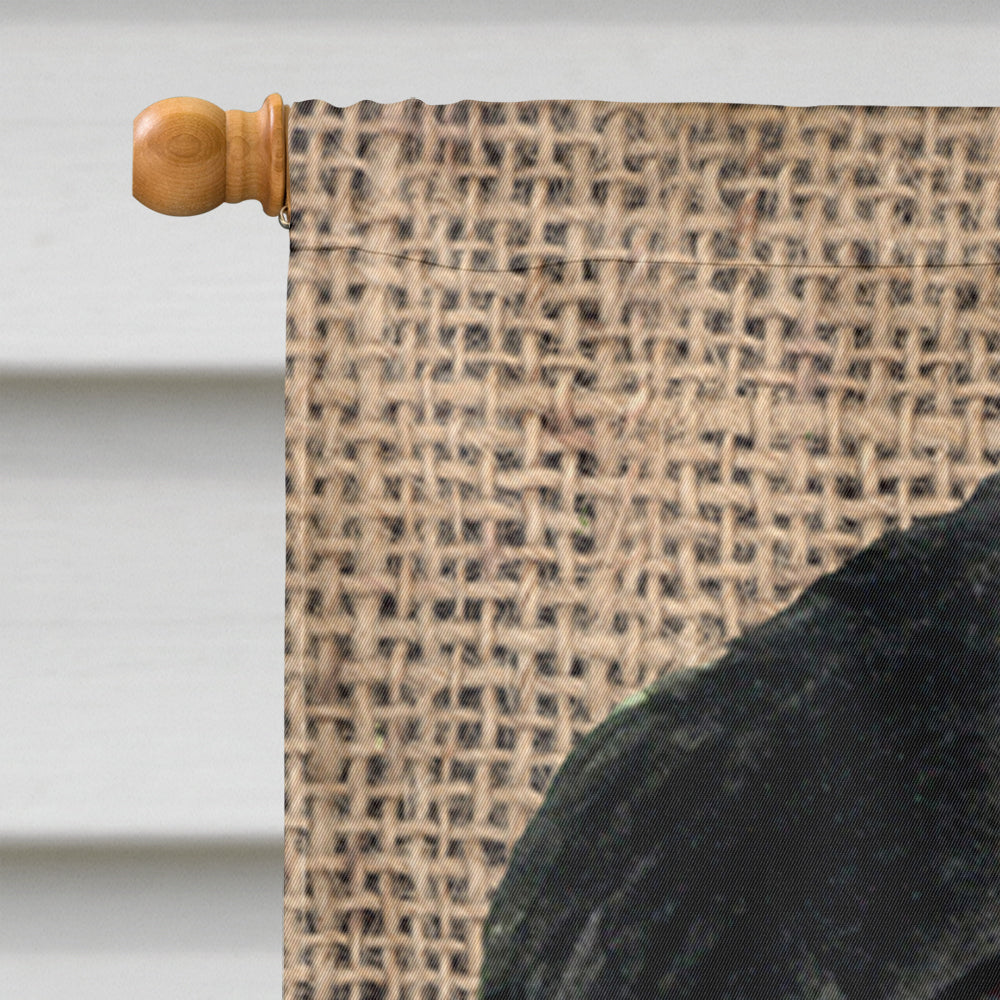 Gordon Setter on Faux Burlap with Pine Cones House Flag 28x40 Porch Sleeve Pole Decorative Outside Yard Banner Artwork Wall Hanging, Polyester