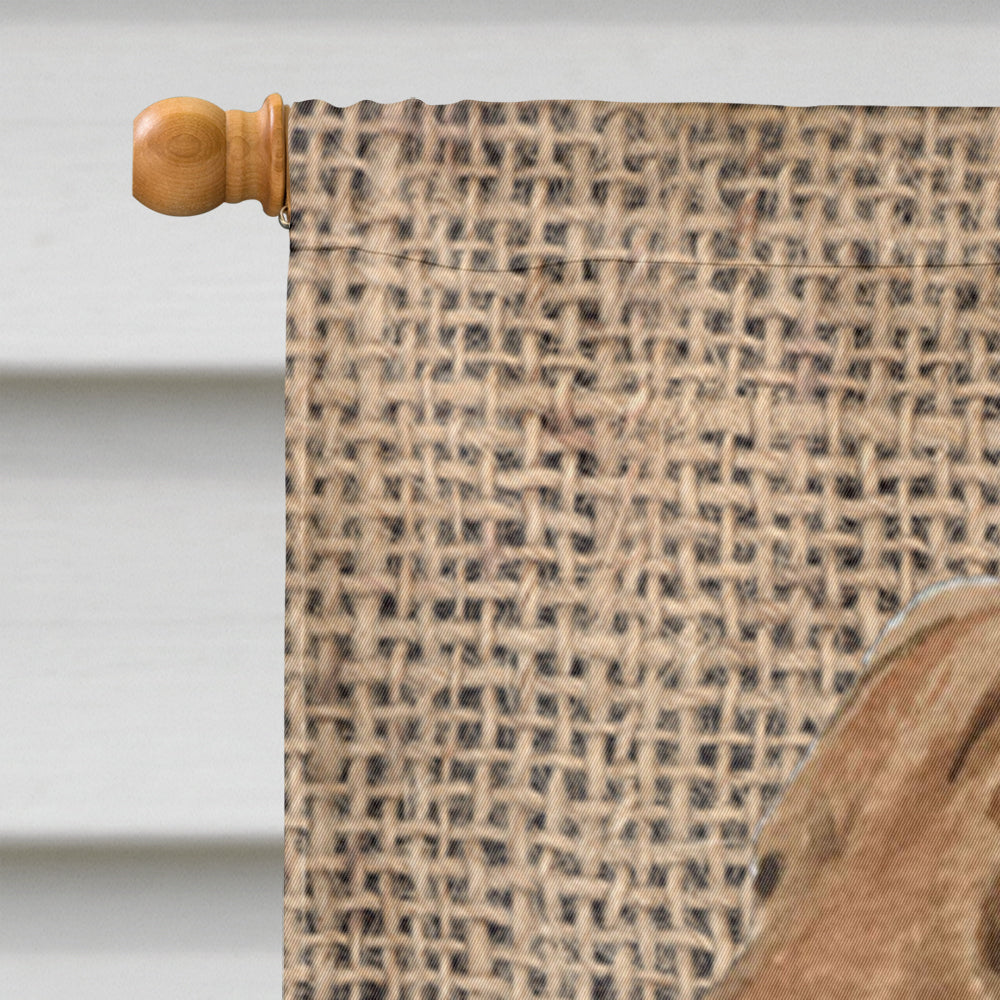 Curly Coated Retriever on Faux Burlap with Pine Cones House Flag 28x40 Porch Sleeve Pole Decorative Outside Yard Banner Artwork Wall Hanging, Polyester