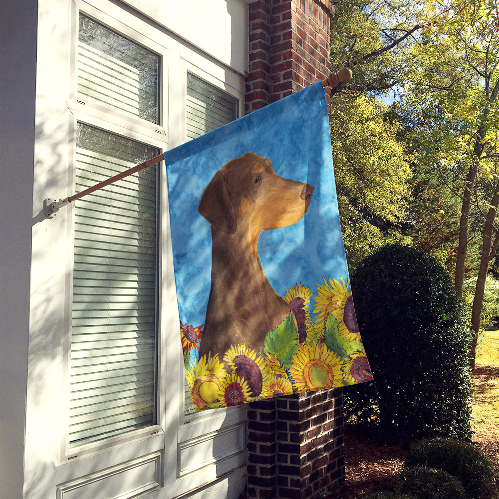 Doberman in Summer Flowers House Flag 28x40 Porch Sleeve Pole Decorative Outside Yard Banner Artwork Wall Hanging, Polyester