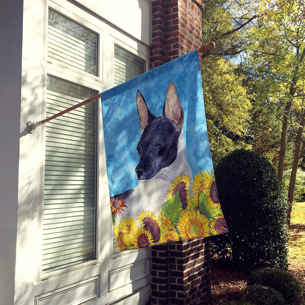 Rat Terrier in Summer Flowers House Flag 28x40 Porch Sleeve Pole Decorative Outside Yard Banner Artwork Wall Hanging, Polyester