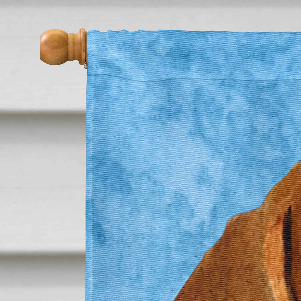 Dachshund in Summer Flowers House Flag 28x40 Porch Sleeve Pole Decorative Outside Yard Banner Artwork Wall Hanging, Polyester