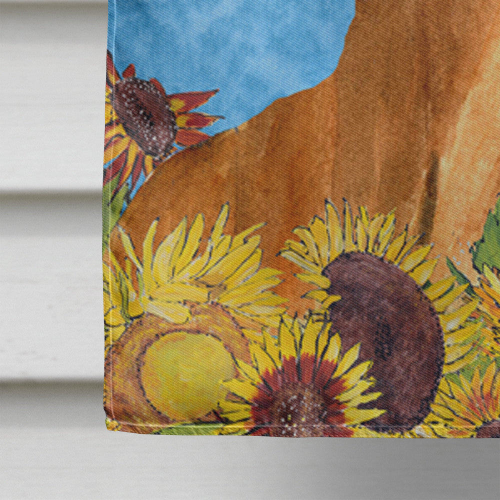 Dachshund in Summer Flowers House Flag 28x40 Porch Sleeve Pole Decorative Outside Yard Banner Artwork Wall Hanging, Polyester