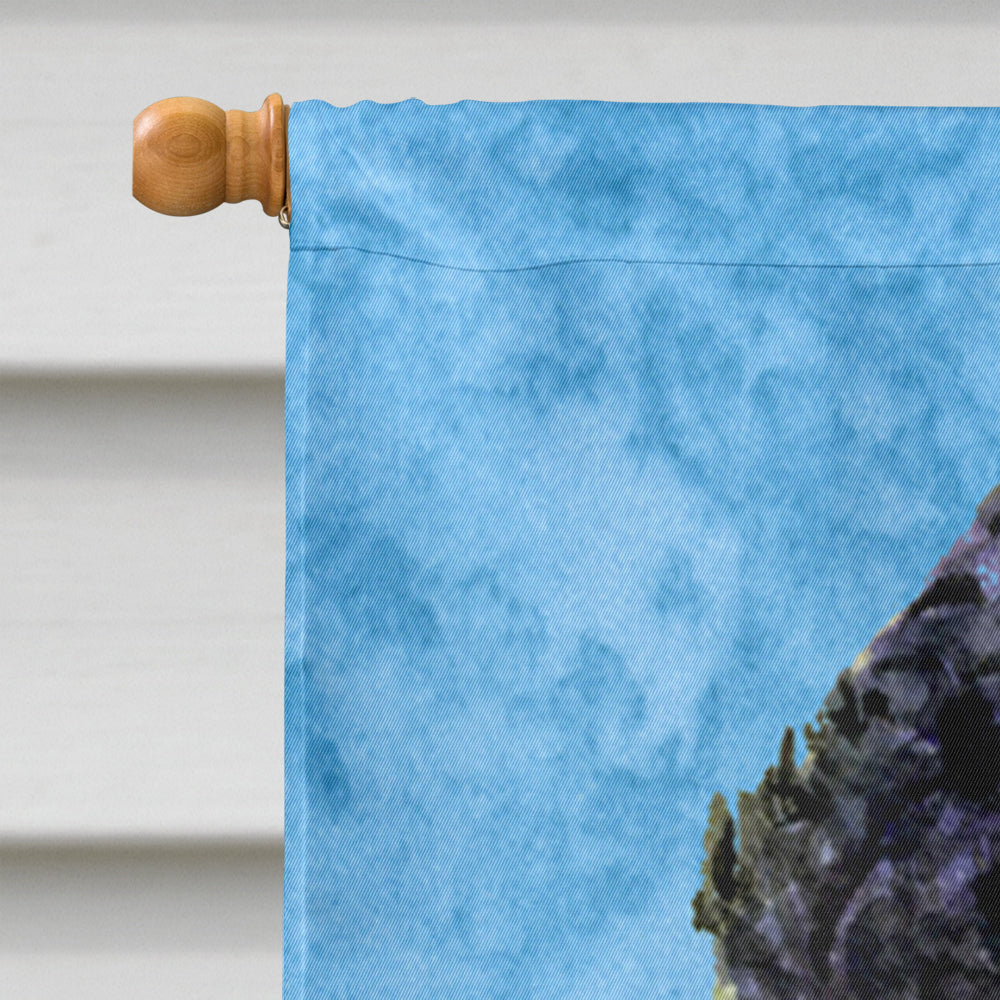 Portuguese Water Dog in Summer Flowers House Flag 28x40 Porch Sleeve Pole Decorative Outside Yard Banner Artwork Wall Hanging, Polyester
