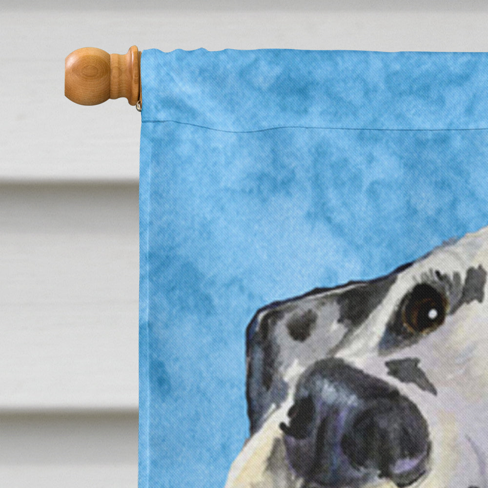 Dalmatian in Summer Flowers House Flag 28x40 Porch Sleeve Pole Decorative Outside Yard Banner Artwork Wall Hanging, Polyester