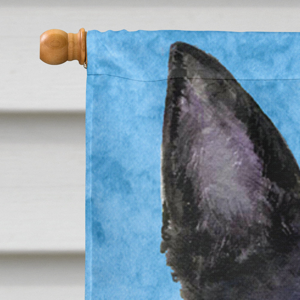 Australian Kelpie in Summer Flowers House Flag 28x40 Porch Sleeve Pole Decorative Outside Yard Banner Artwork Wall Hanging, Polyester