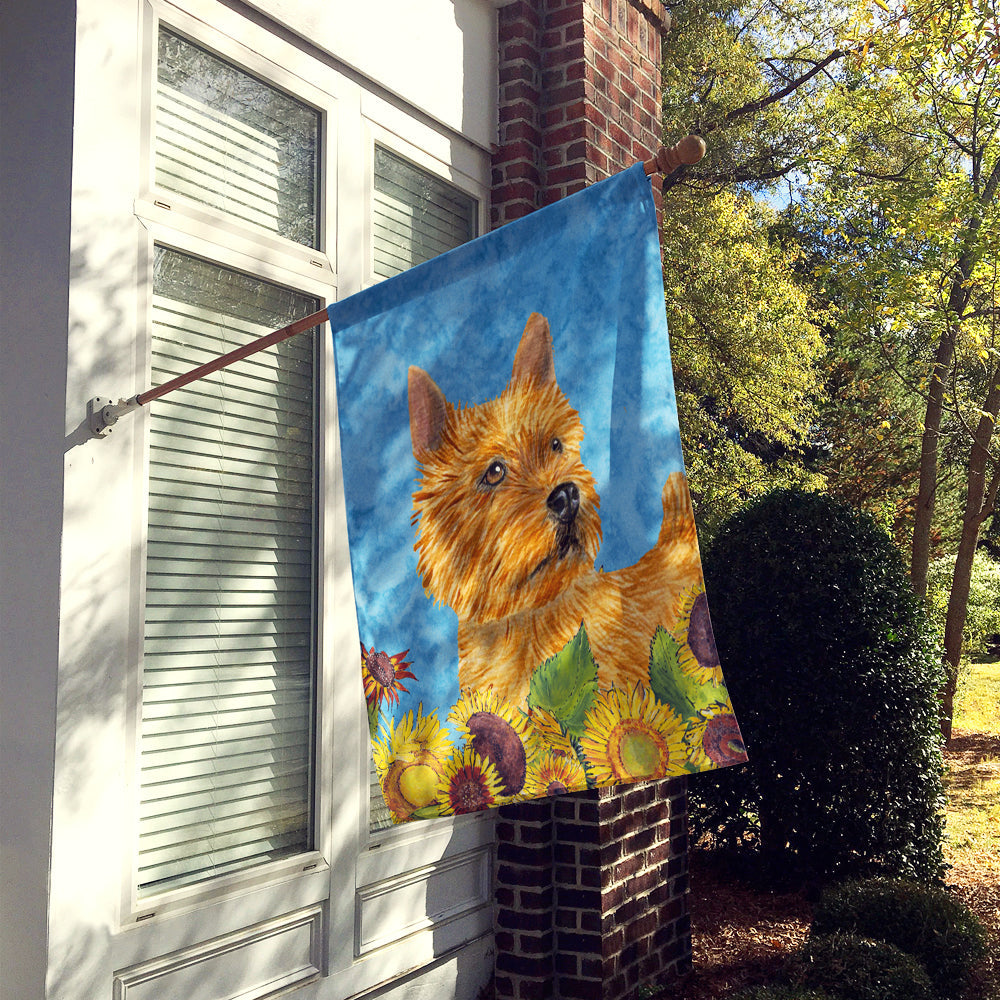 Norwich Terrier in Summer Flowers House Flag 28x40 Porch Sleeve Pole Decorative Outside Yard Banner Artwork Wall Hanging, Polyester
