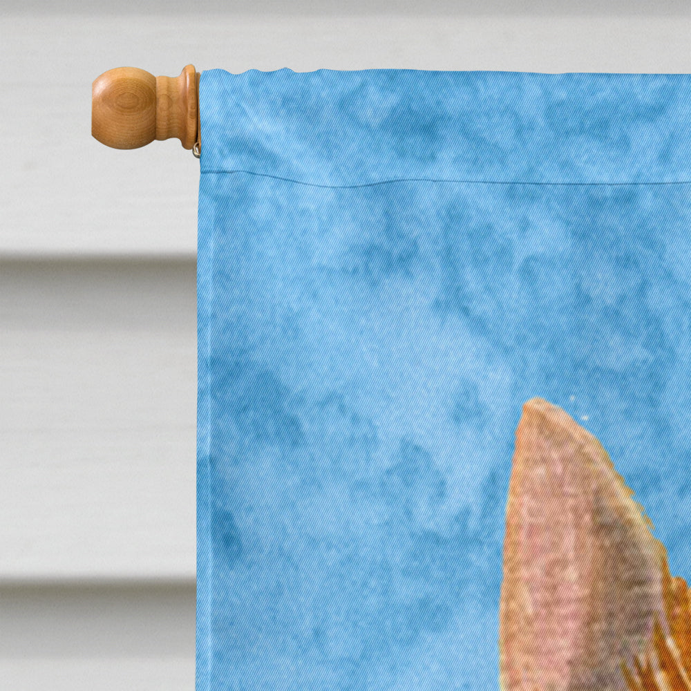 Norwich Terrier in Summer Flowers House Flag 28x40 Porch Sleeve Pole Decorative Outside Yard Banner Artwork Wall Hanging, Polyester