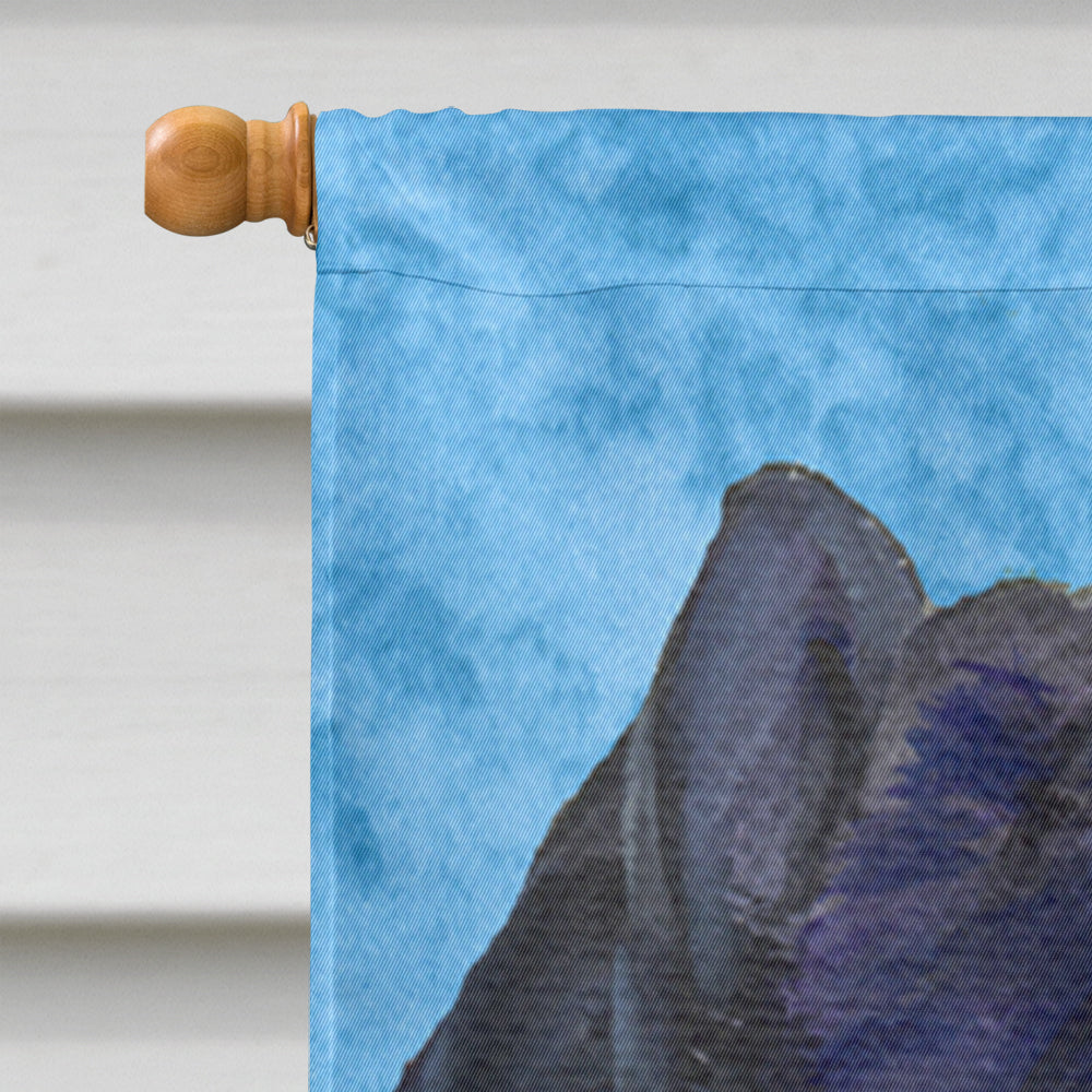 Chow Chow in Summer Flowers House Flag 28x40 Porch Sleeve Pole Decorative Outside Yard Banner Artwork Wall Hanging, Polyester