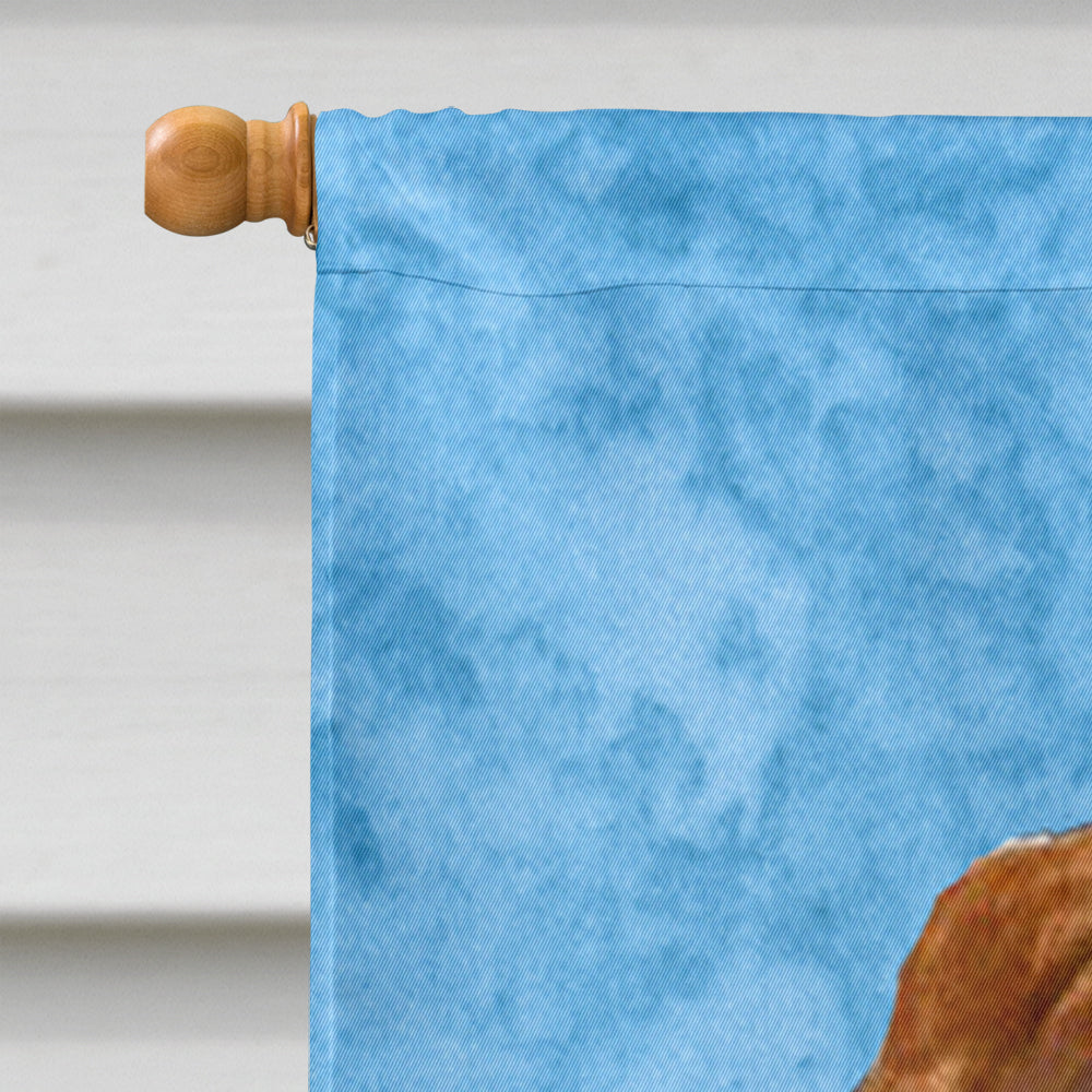 Sussex Spaniel in Summer Flowers House Flag 28x40 Porch Sleeve Pole Decorative Outside Yard Banner Artwork Wall Hanging, Polyester