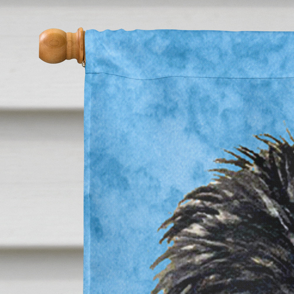 Affenpinscher in Summer Flowers House Flag 28x40 Porch Sleeve Pole Decorative Outside Yard Banner Artwork Wall Hanging, Polyester