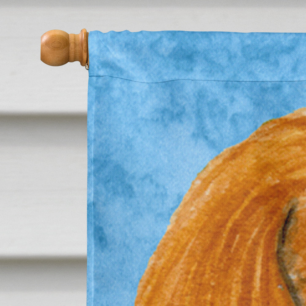 Cavalier Spaniel in Summer Flowers House Flag 28x40 Porch Sleeve Pole Decorative Outside Yard Banner Artwork Wall Hanging, Polyester