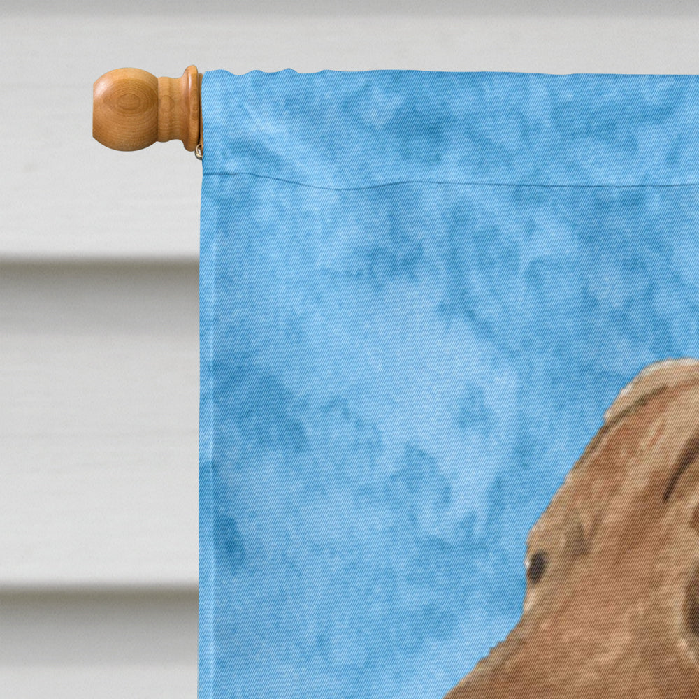 Curly Coated Retriever in Summer Flowers House Flag 28x40 Porch Sleeve Pole Decorative Outside Yard Banner Artwork Wall Hanging, Polyester