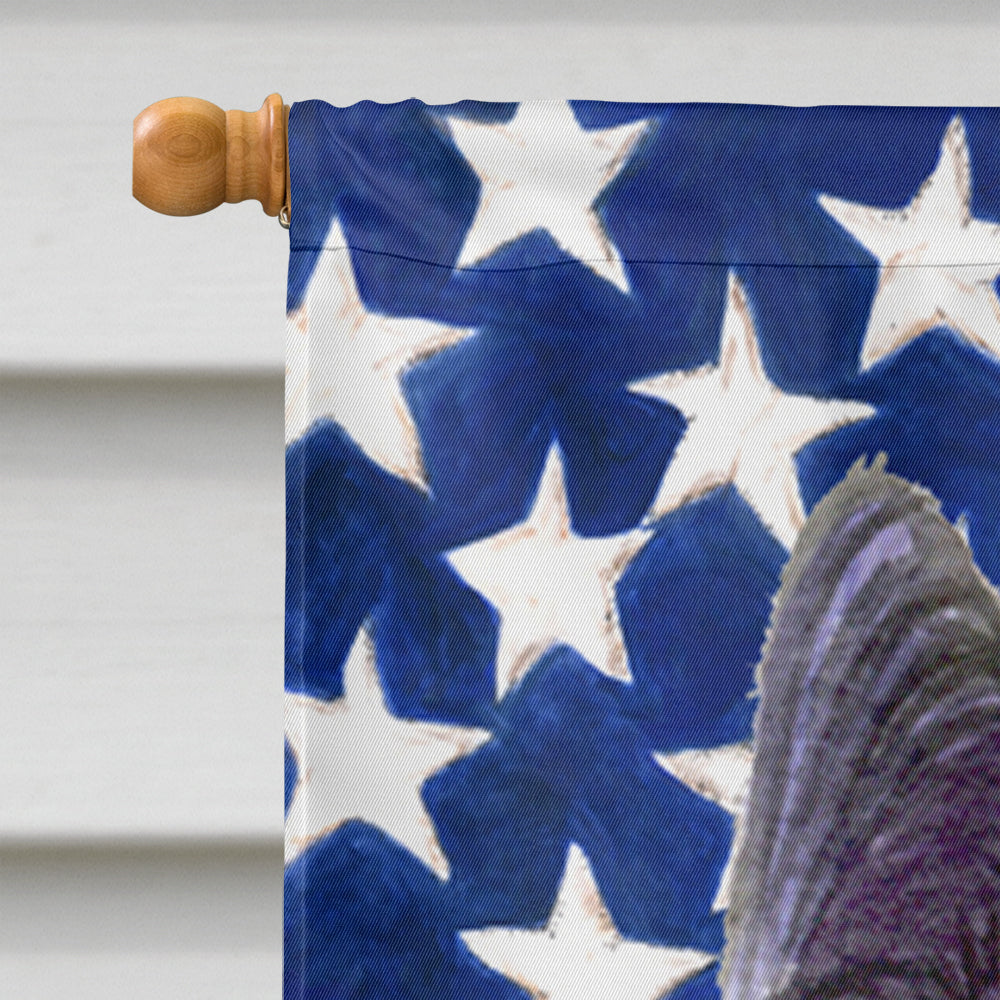 USA American Flag with Skye Terrier House Flag 28x40 Porch Sleeve Pole Decorative Outside Yard Banner Artwork Wall Hanging, Polyester