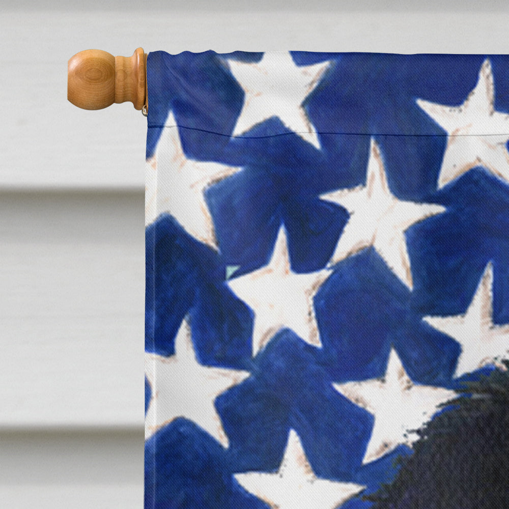 USA American Flag with Japanese Chin House Flag 28x40 Porch Sleeve Pole Decorative Outside Yard Banner Artwork Wall Hanging, Polyester
