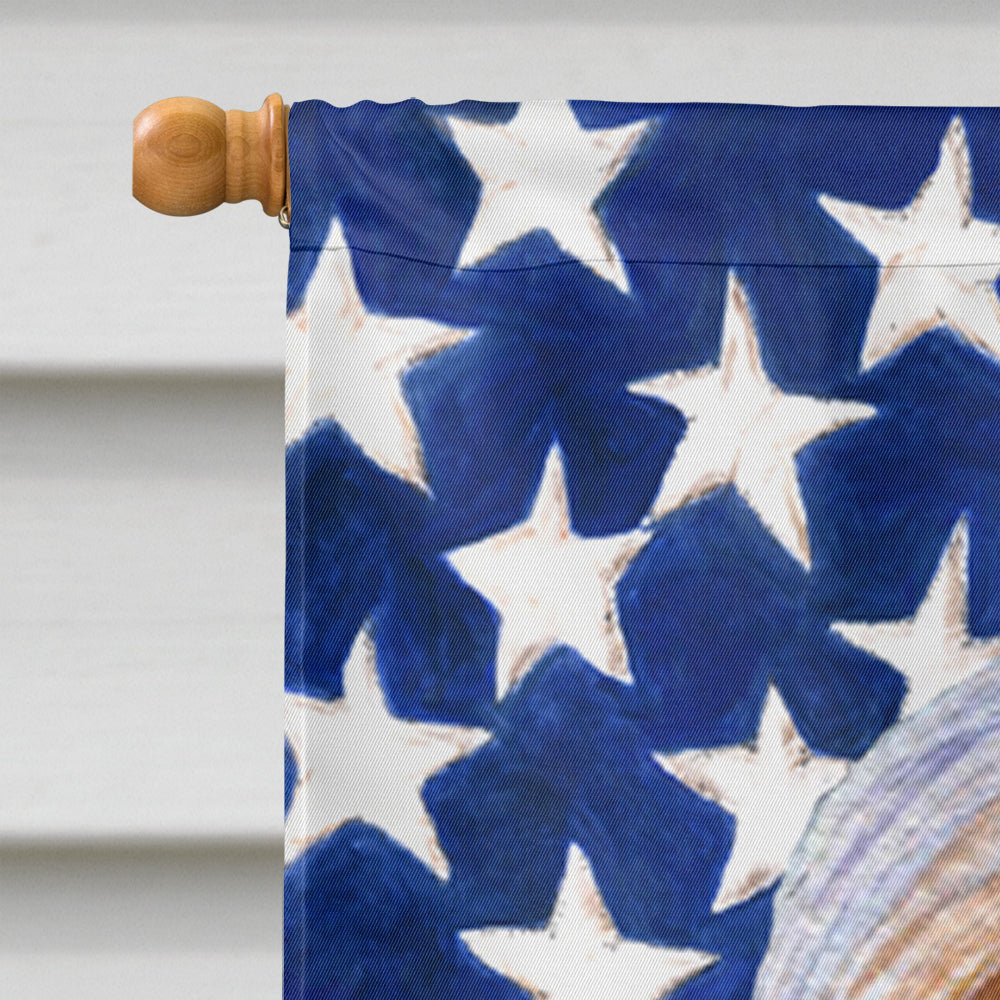 USA American Flag with Bearded Collie House Flag 28x40 Porch Sleeve Pole Decorative Outside Yard Banner Artwork Wall Hanging, Polyester