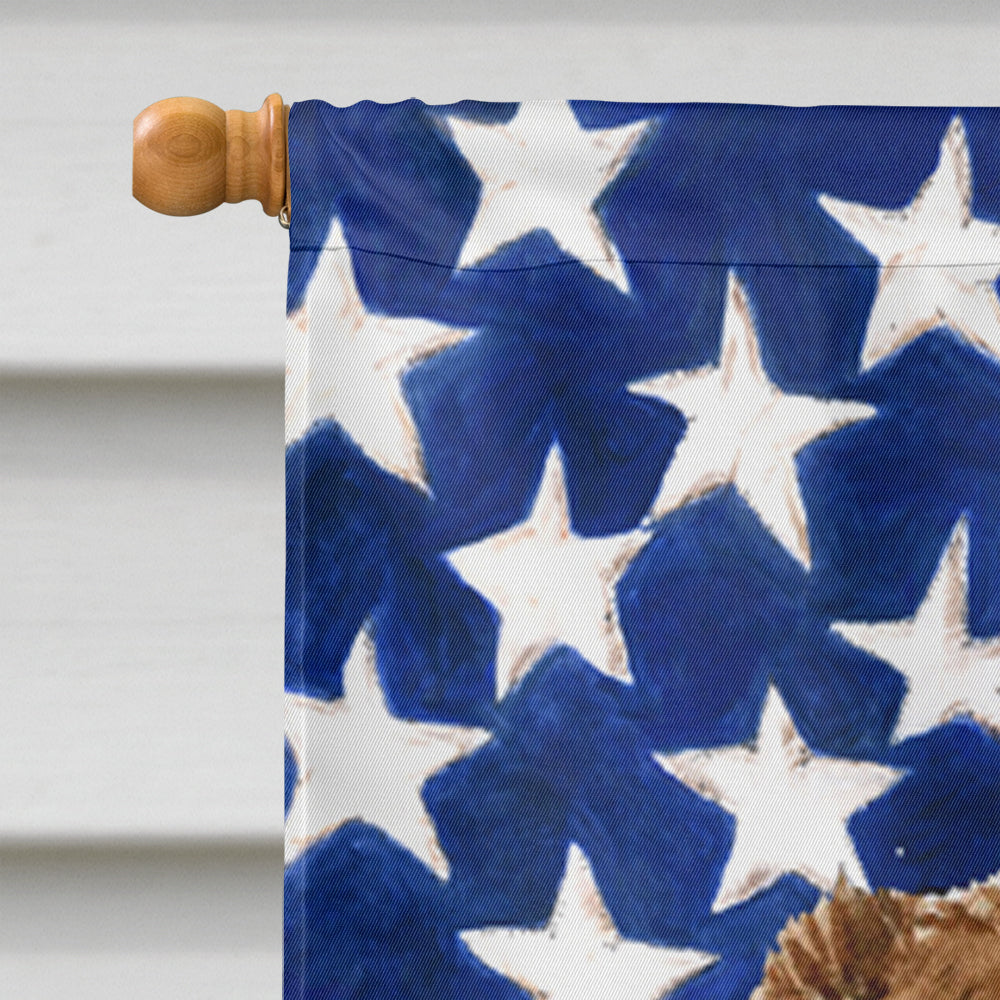 USA American Flag with Australian Shepherd House Flag 28x40 Porch Sleeve Pole Decorative Outside Yard Banner Artwork Wall Hanging, Polyester