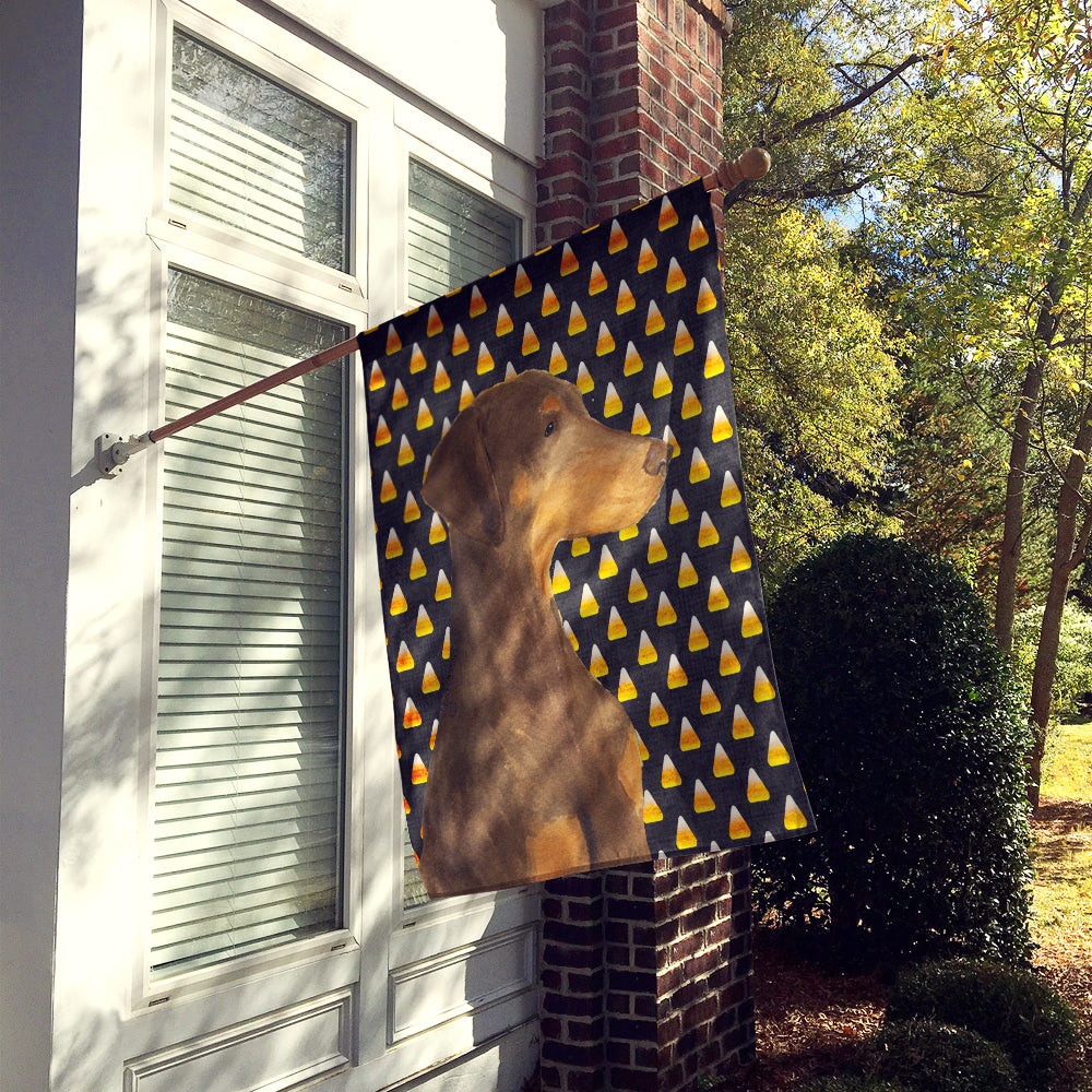 Doberman Candy Corn Halloween Portrait House Flag 28x40 Porch Sleeve Pole Decorative Outside Yard Banner Artwork Wall Hanging, Polyester