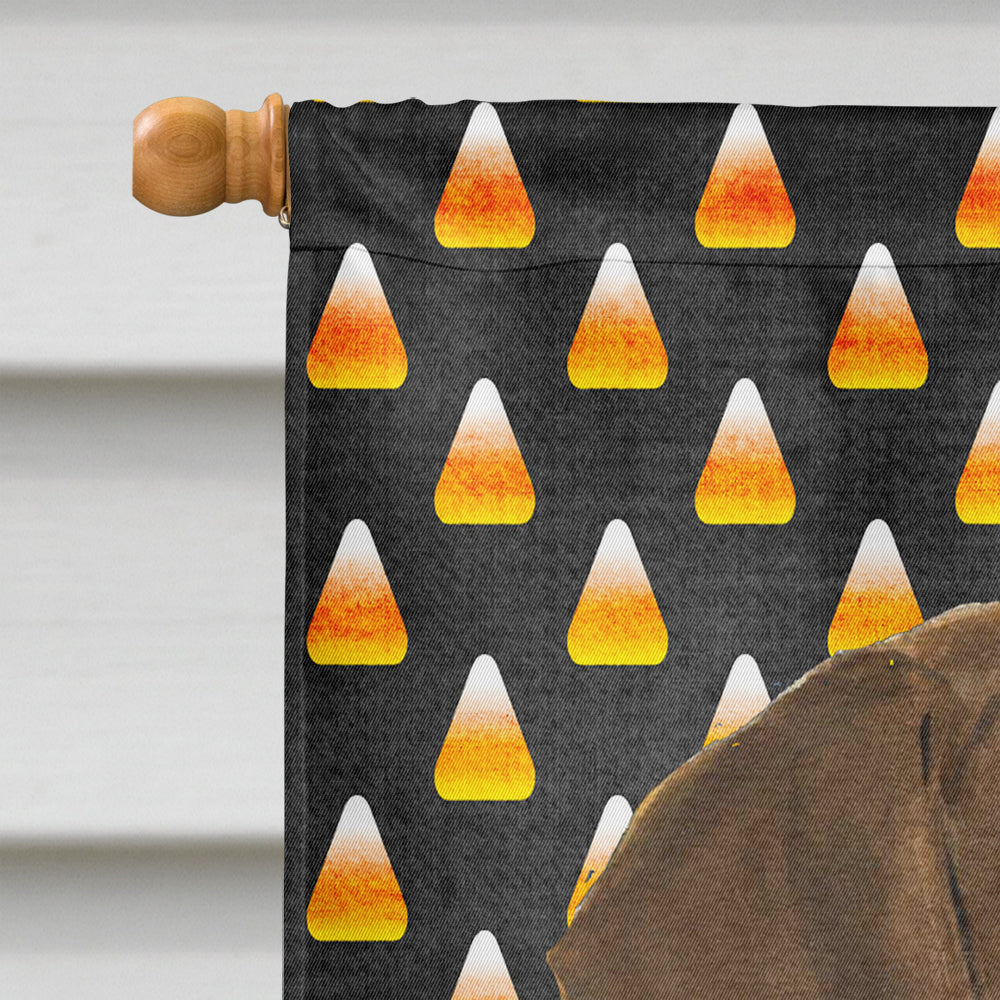 Doberman Candy Corn Halloween Portrait House Flag 28x40 Porch Sleeve Pole Decorative Outside Yard Banner Artwork Wall Hanging, Polyester