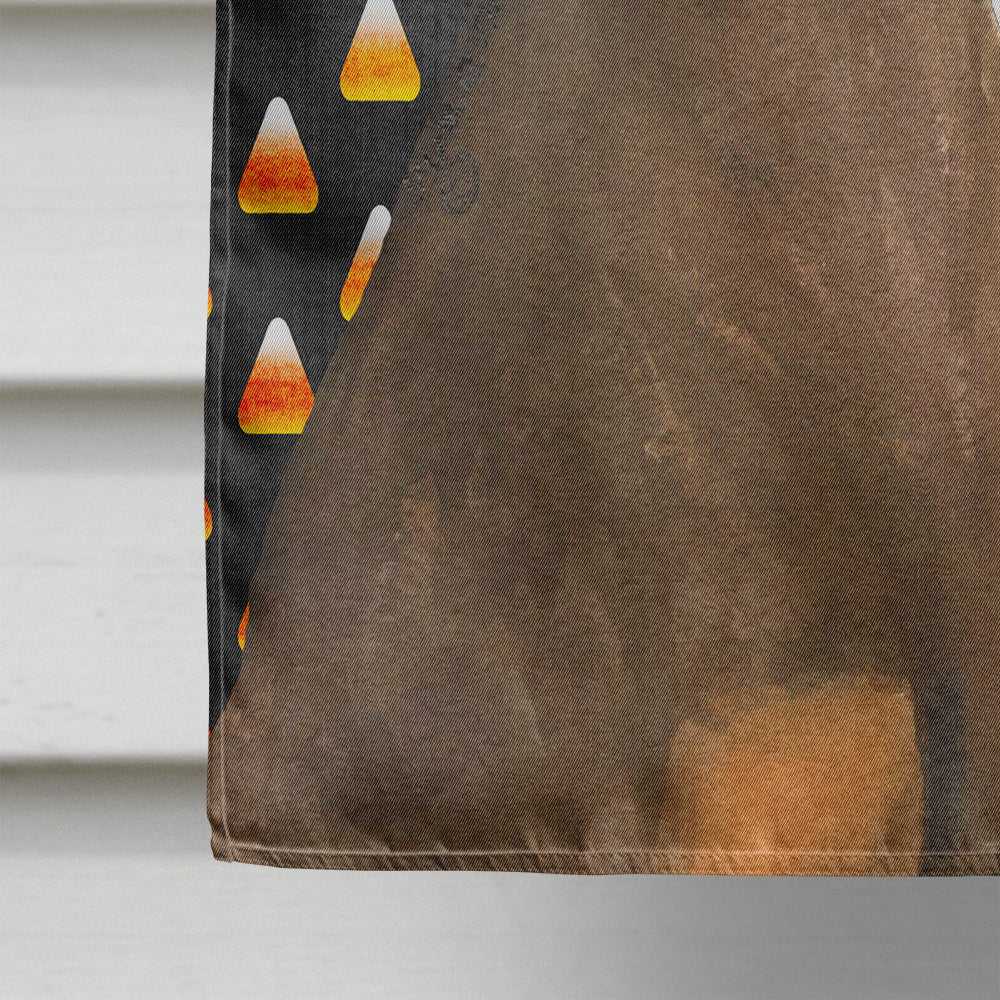 Doberman Candy Corn Halloween Portrait House Flag 28x40 Porch Sleeve Pole Decorative Outside Yard Banner Artwork Wall Hanging, Polyester