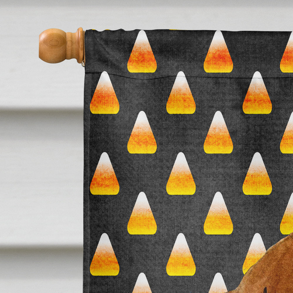 Dachshund Candy Corn Halloween Portrait House Flag 28x40 Porch Sleeve Pole Decorative Outside Yard Banner Artwork Wall Hanging, Polyester