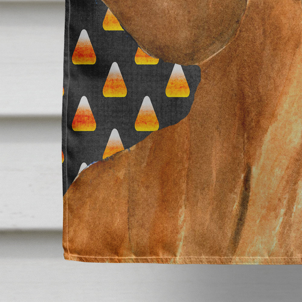 Dachshund Candy Corn Halloween Portrait House Flag 28x40 Porch Sleeve Pole Decorative Outside Yard Banner Artwork Wall Hanging, Polyester