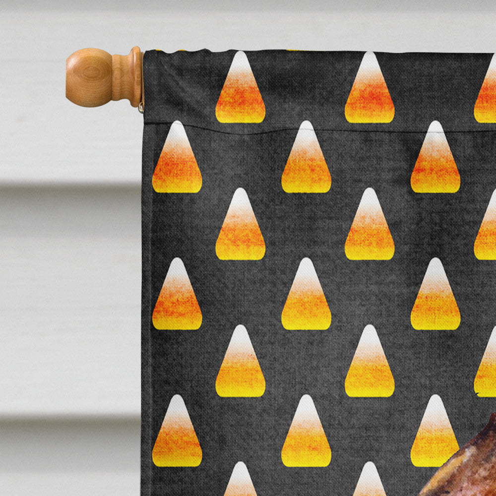 Brussels Griffon Candy Corn Halloween Portrait House Flag 28x40 Porch Sleeve Pole Decorative Outside Yard Banner Artwork Wall Hanging, Polyester