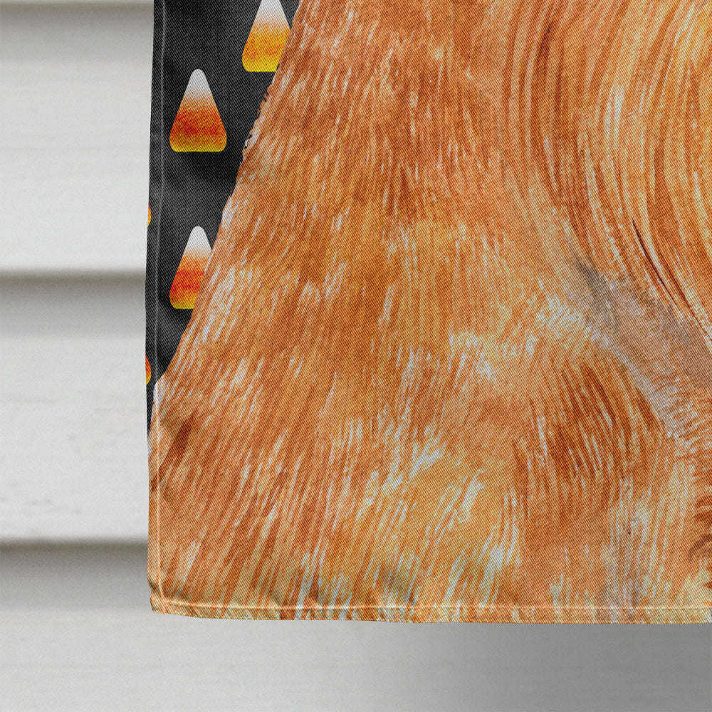Brussels Griffon Candy Corn Halloween Portrait House Flag 28x40 Porch Sleeve Pole Decorative Outside Yard Banner Artwork Wall Hanging, Polyester