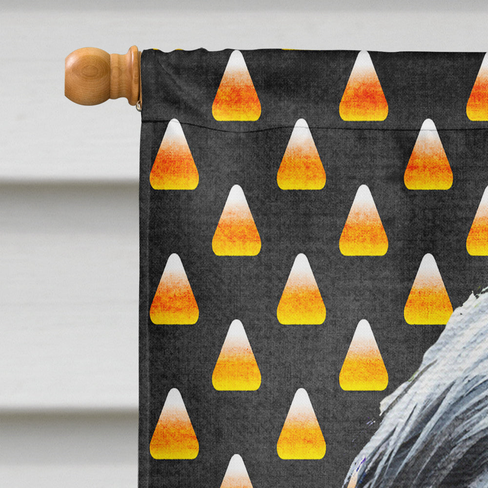 Bearded Collie Candy Corn Halloween Portrait House Flag 28x40 Porch Sleeve Pole Decorative Outside Yard Banner Artwork Wall Hanging, Polyester