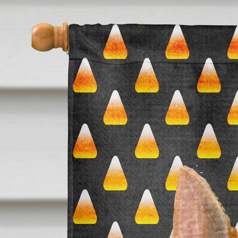 Norwich Terrier Candy Corn Halloween Portrait House Flag 28x40 Porch Sleeve Pole Decorative Outside Yard Banner Artwork Wall Hanging, Polyester