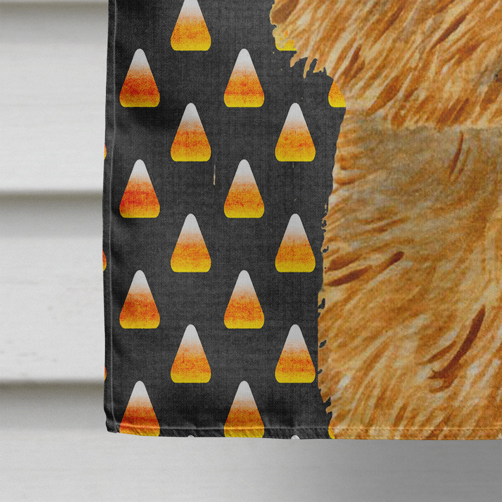 Norwich Terrier Candy Corn Halloween Portrait House Flag 28x40 Porch Sleeve Pole Decorative Outside Yard Banner Artwork Wall Hanging, Polyester