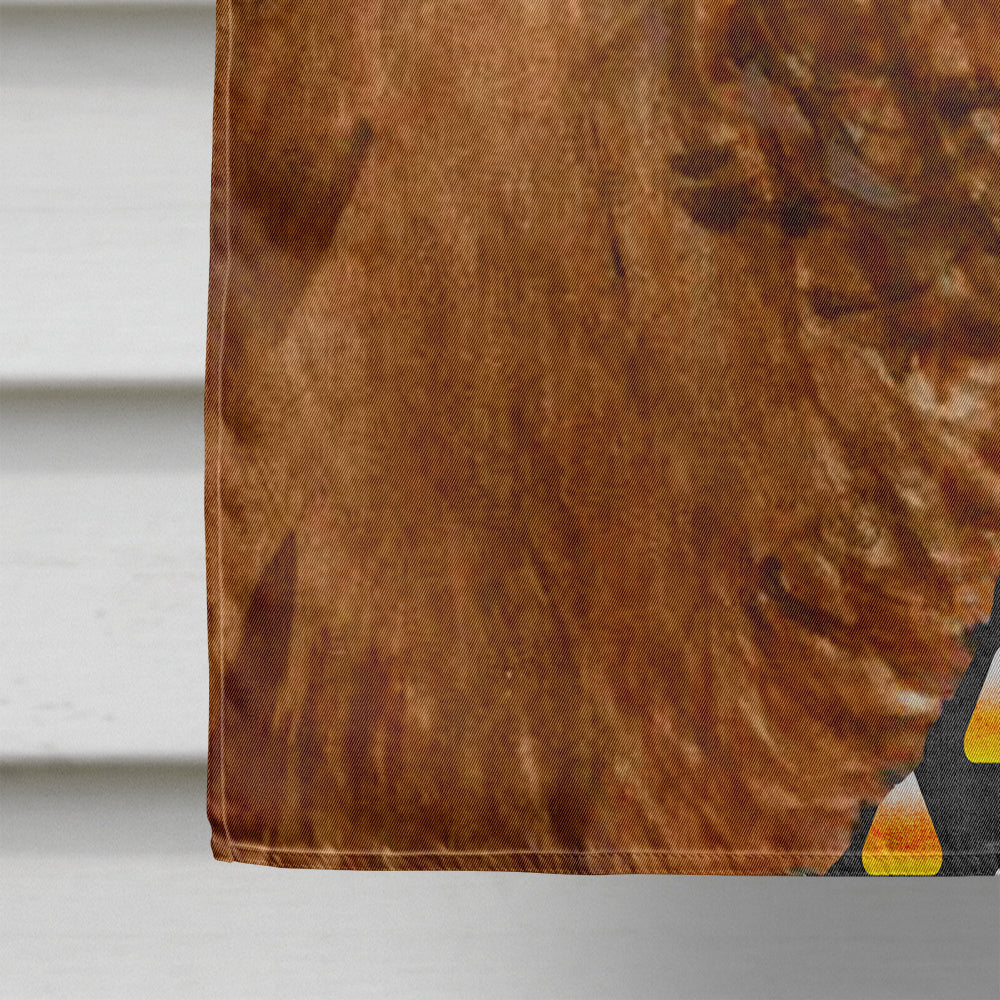 Sussex Spaniel Candy Corn Halloween Portrait House Flag 28x40 Porch Sleeve Pole Decorative Outside Yard Banner Artwork Wall Hanging, Polyester