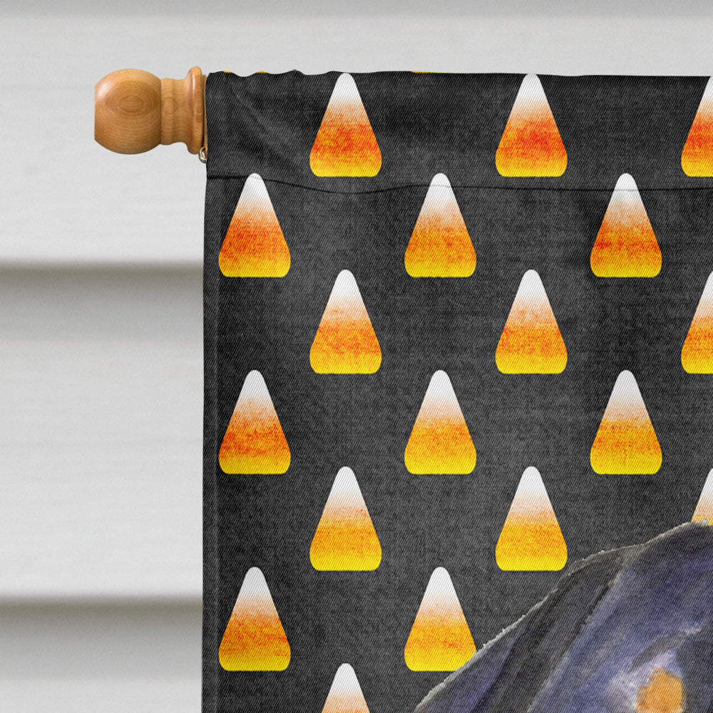 Rottweiler Candy Corn Halloween Portrait House Flag 28x40 Porch Sleeve Pole Decorative Outside Yard Banner Artwork Wall Hanging, Polyester