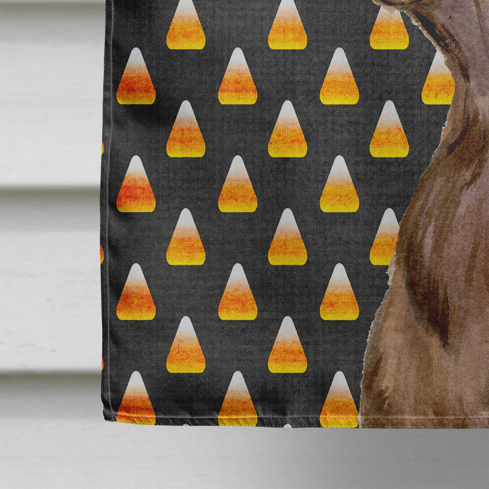 Field Spaniel Candy Corn Halloween Portrait House Flag 28x40 Porch Sleeve Pole Decorative Outside Yard Banner Artwork Wall Hanging, Polyester