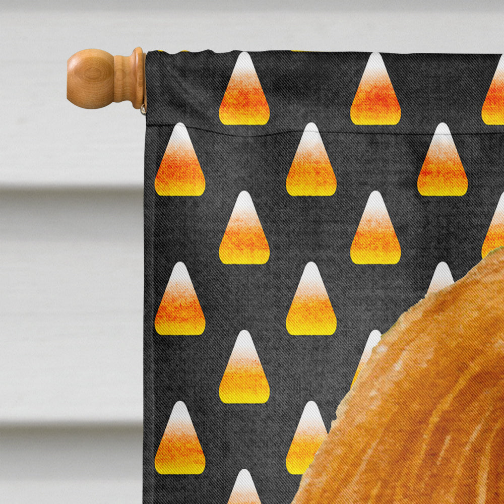 Cavalier Spaniel Candy Corn Halloween Portrait House Flag 28x40 Porch Sleeve Pole Decorative Outside Yard Banner Artwork Wall Hanging, Polyester