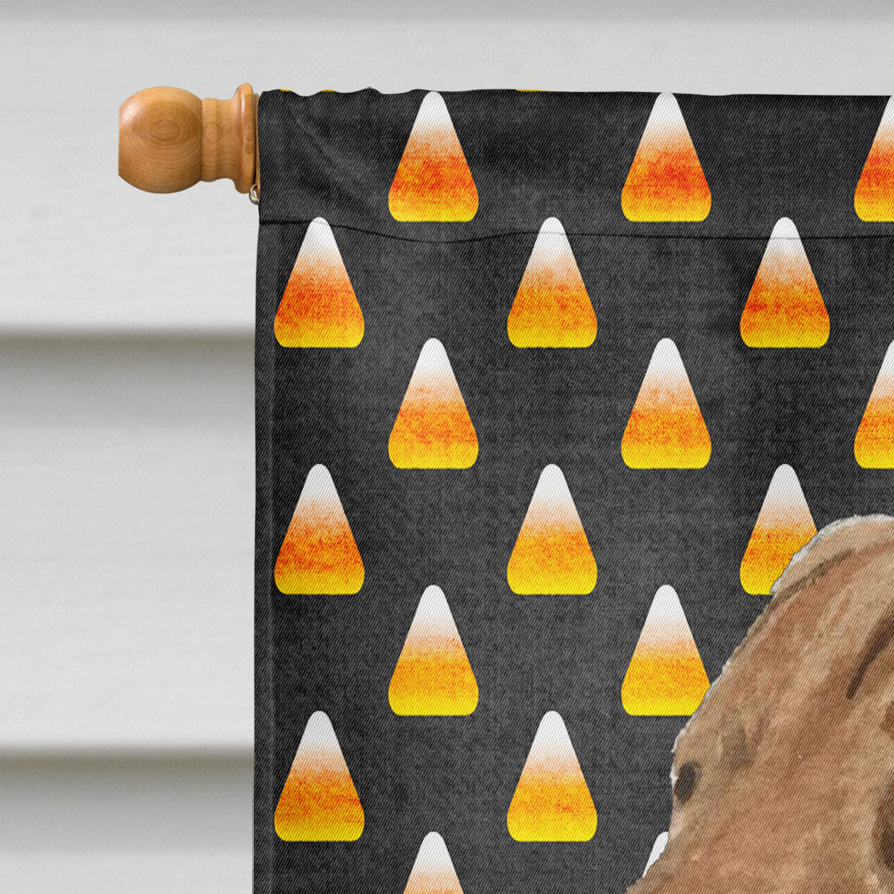 Chesapeake Bay Retriever Wheaten Candy Corn Halloween Portrait House Flag 28x40 Porch Sleeve Pole Decorative Outside Yard Banner Artwork Wall Hanging, Polyester