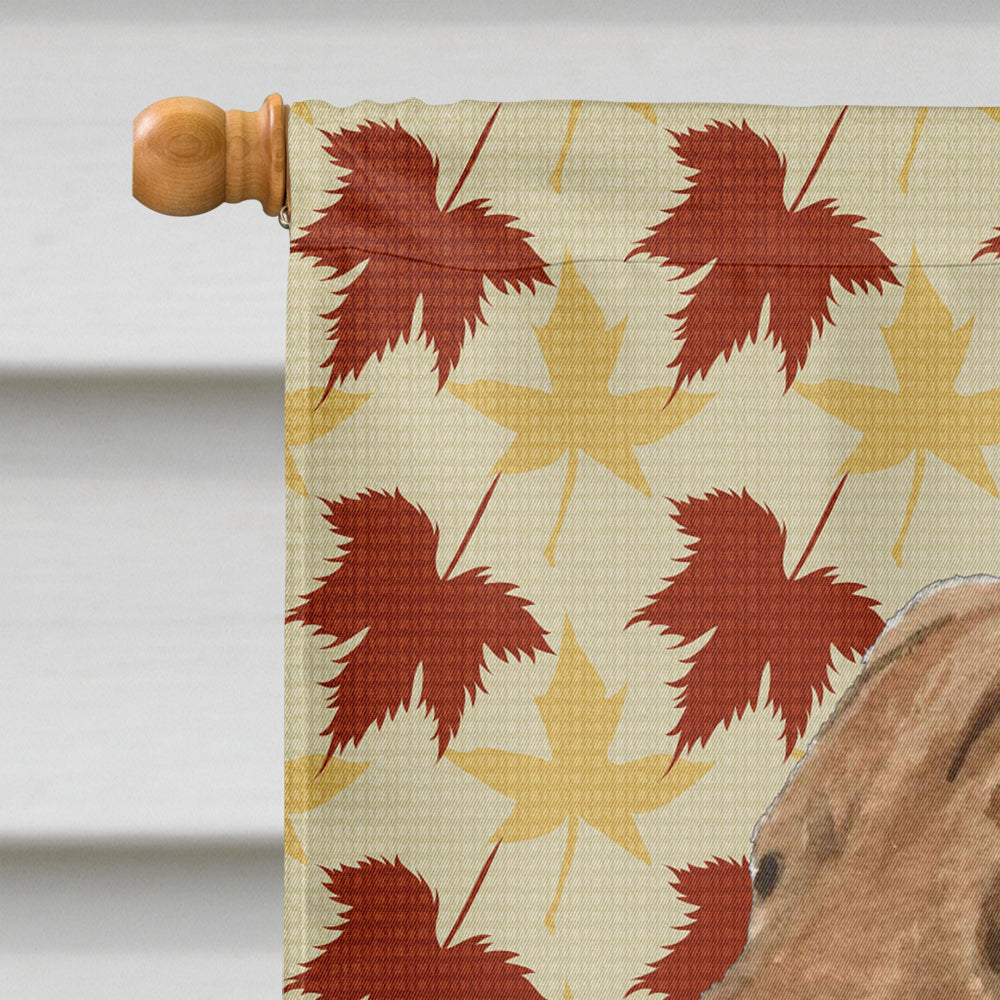 Chesapeake Bay Retriever Fall Leaves Portrait House Flag 28x40 Porch Sleeve Pole Decorative Outside Yard Banner Artwork Wall Hanging, Polyester