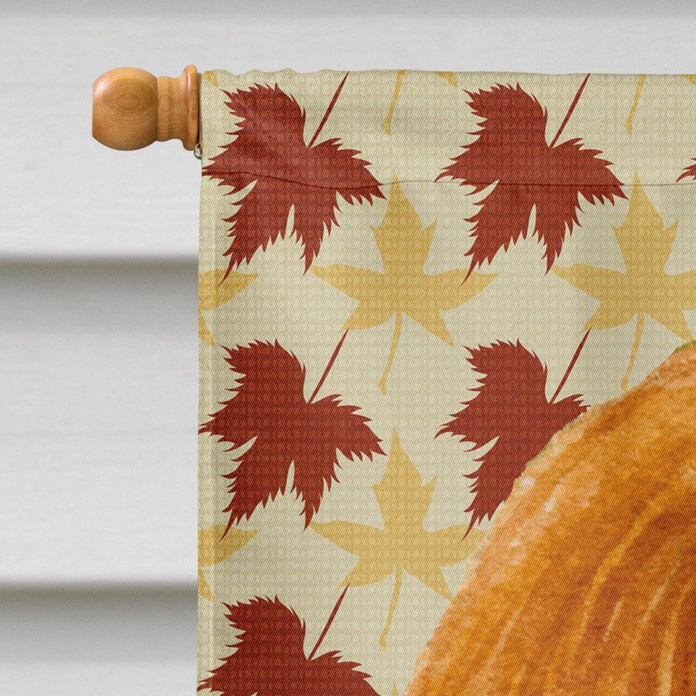 Cavalier Spaniel Fall Leaves Portrait House Flag 28x40 Porch Sleeve Pole Decorative Outside Yard Banner Artwork Wall Hanging, Polyester