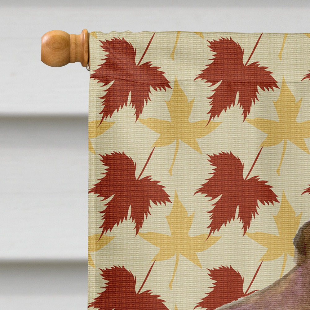 Field Spaniel Fall Leaves Portrait House Flag 28x40 Porch Sleeve Pole Decorative Outside Yard Banner Artwork Wall Hanging, Polyester