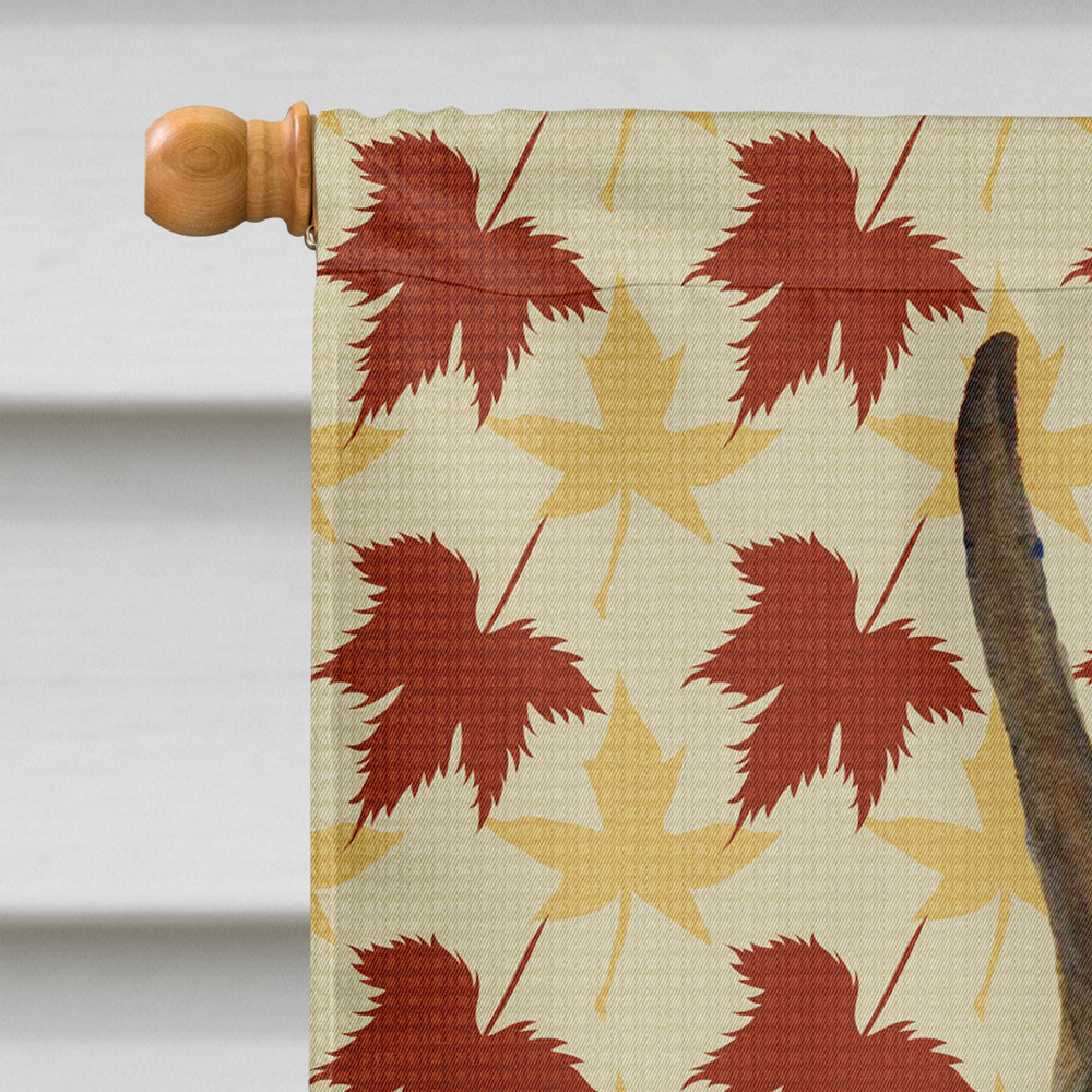 Boxer Brindle Fall Leaves Portrait House Flag 28x40 Porch Sleeve Pole Decorative Outside Yard Banner Artwork Wall Hanging, Polyester
