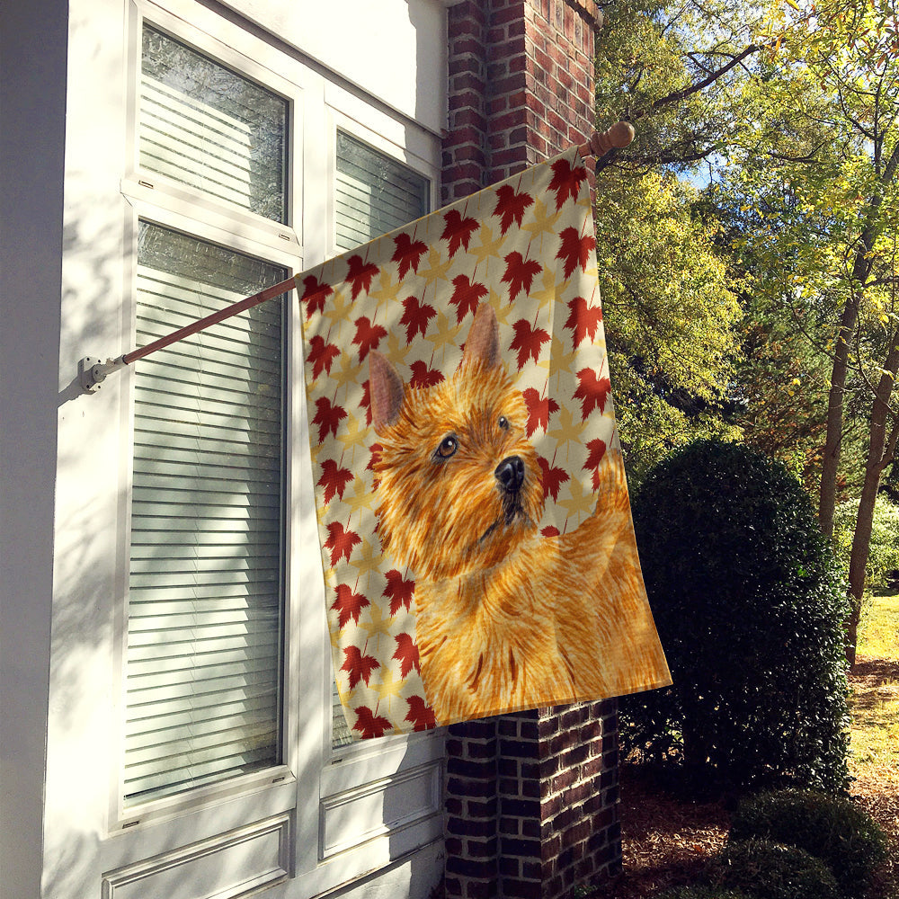 Norwich Terrier Fall Leaves Portrait House Flag 28x40 Porch Sleeve Pole Decorative Outside Yard Banner Artwork Wall Hanging, Polyester