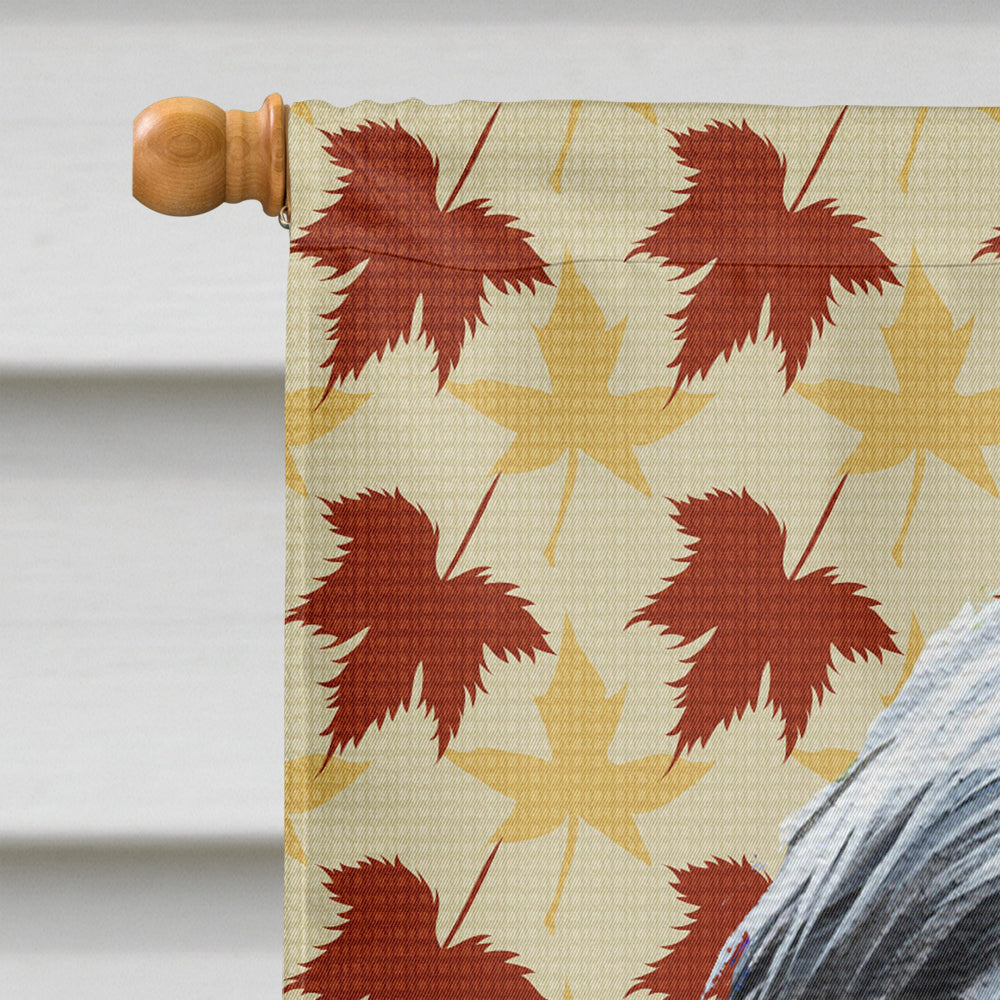 Bearded Collie Fall Leaves Portrait House Flag 28x40 Porch Sleeve Pole Decorative Outside Yard Banner Artwork Wall Hanging, Polyester