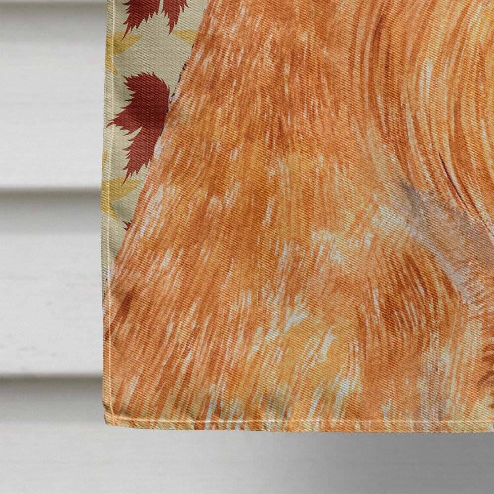 Brussels Griffon Fall Leaves Portrait House Flag 28x40 Porch Sleeve Pole Decorative Outside Yard Banner Artwork Wall Hanging, Polyester