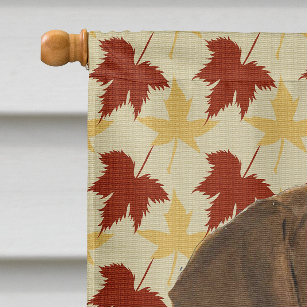 Doberman Fall Leaves Portrait House Flag 28x40 Porch Sleeve Pole Decorative Outside Yard Banner Artwork Wall Hanging, Polyester