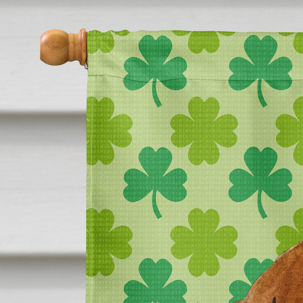 Dachshund St. Patrick's Day Shamrock Portrait House Flag 28x40 Porch Sleeve Pole Decorative Outside Yard Banner Artwork Wall Hanging, Polyester
