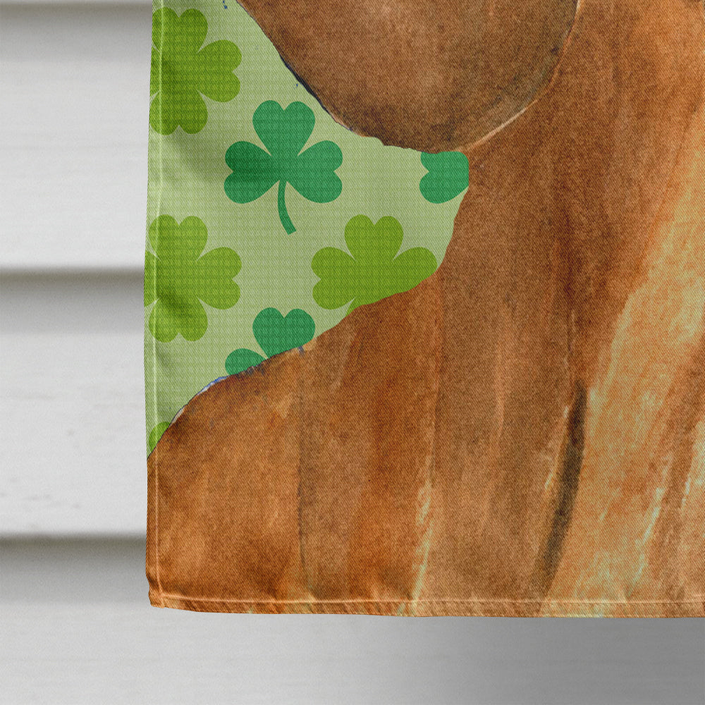 Dachshund St. Patrick's Day Shamrock Portrait House Flag 28x40 Porch Sleeve Pole Decorative Outside Yard Banner Artwork Wall Hanging, Polyester