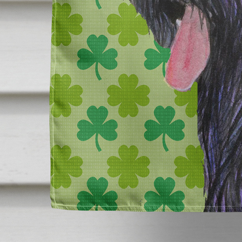Briard St. Patrick's Day Shamrock Portrait House Flag 28x40 Porch Sleeve Pole Decorative Outside Yard Banner Artwork Wall Hanging, Polyester