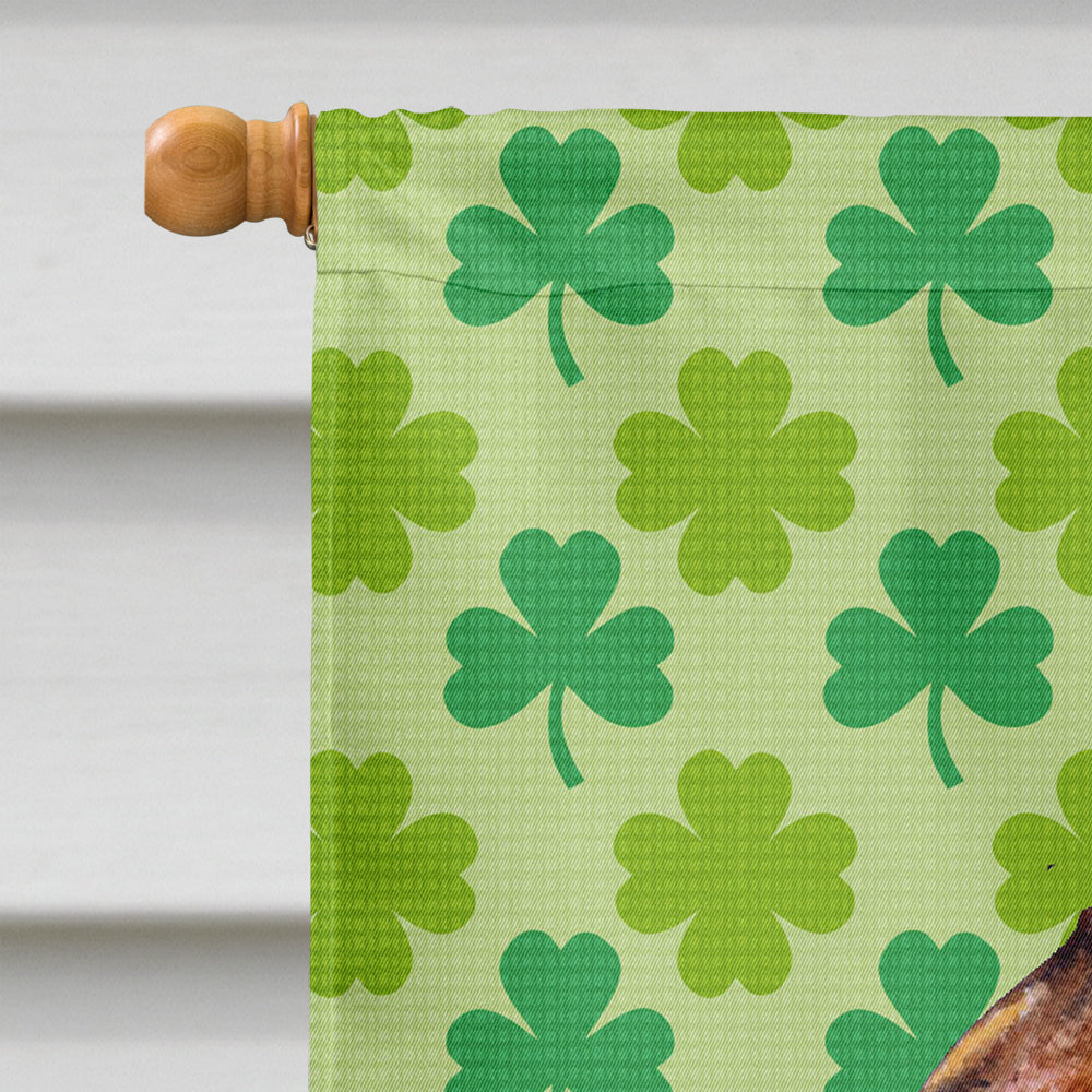 Brussels Griffon St. Patrick's Day Shamrock Portrait House Flag 28x40 Porch Sleeve Pole Decorative Outside Yard Banner Artwork Wall Hanging, Polyester